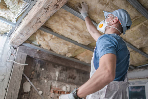 Insulation for Commercial Buildings in Duncanville, TX