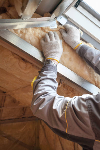 Best Garage Insulation Installation  in Duncanville, TX