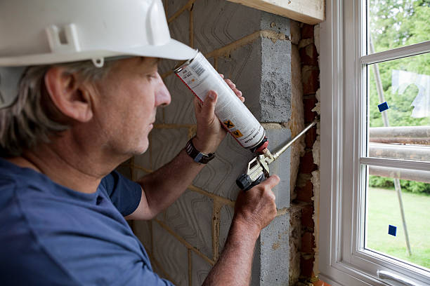 Best Insulation Replacement Services  in Duncanville, TX