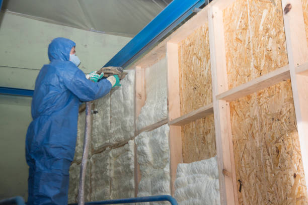 Best Crawl Space Insulation  in Duncanville, TX