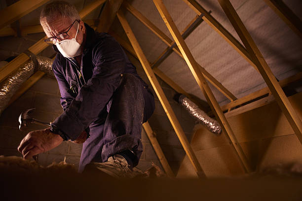 Best Insulation Repair Services  in Duncanville, TX