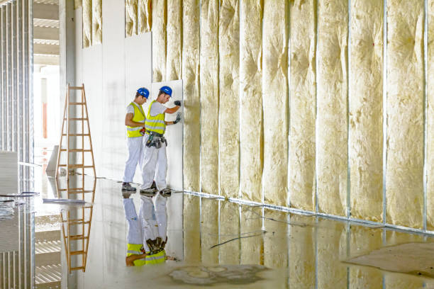 Best Insulation Removal  in Duncanville, TX